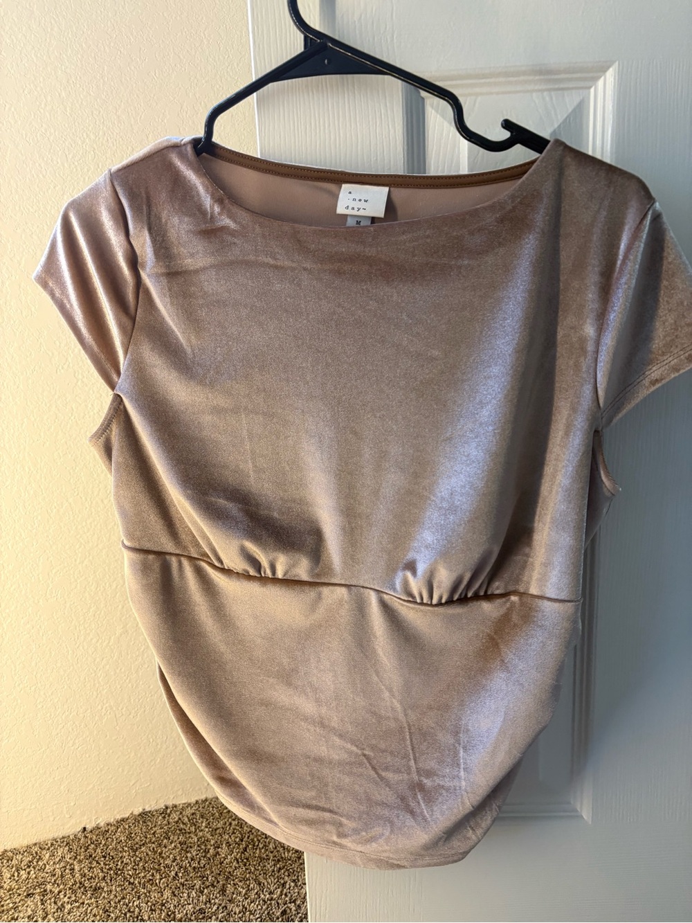 a new day Shimmery Champagne Short Sleeve Top